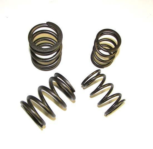 034-201-8000 Valve Spring Set, High Rate, Audi 5-cyl 20v