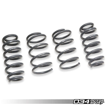 034 Motorsport - Audi RS3 8V Dynamic+ Lowering Springs - 034-404-1008