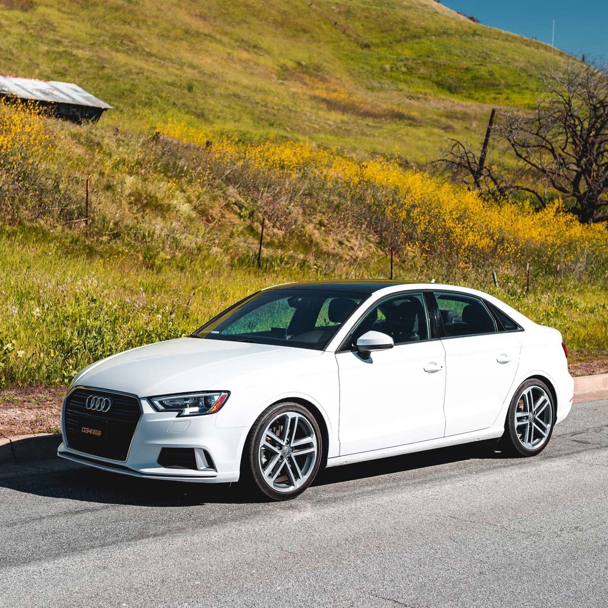 034-404-1012 - 034Motorsport Audi A3/S3 8V Lowering Springs - Non Magride